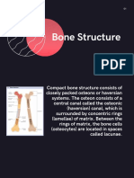 Topic PPT Bone Structure