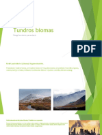 Tundros Biomas