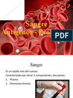 17 - Sangre