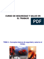 Curso Seg Salud Trab