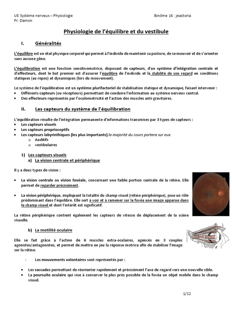 Physiologie du vestibule et équilibre | PDF | Système vestibulaire ...