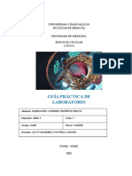 Biología Celular - Informe PC N10
