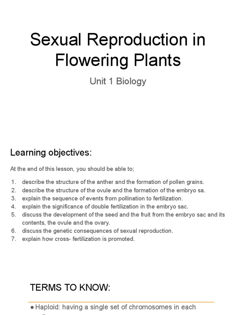 Sexual Reproduction in Flowering Plants (CAPE) | PDF | Flowers ...