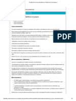 Clasificación de Las Computadoras - Plataformas Tecnológicas