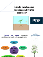 6 Factorii de Mediu Cultivarea Plantelor