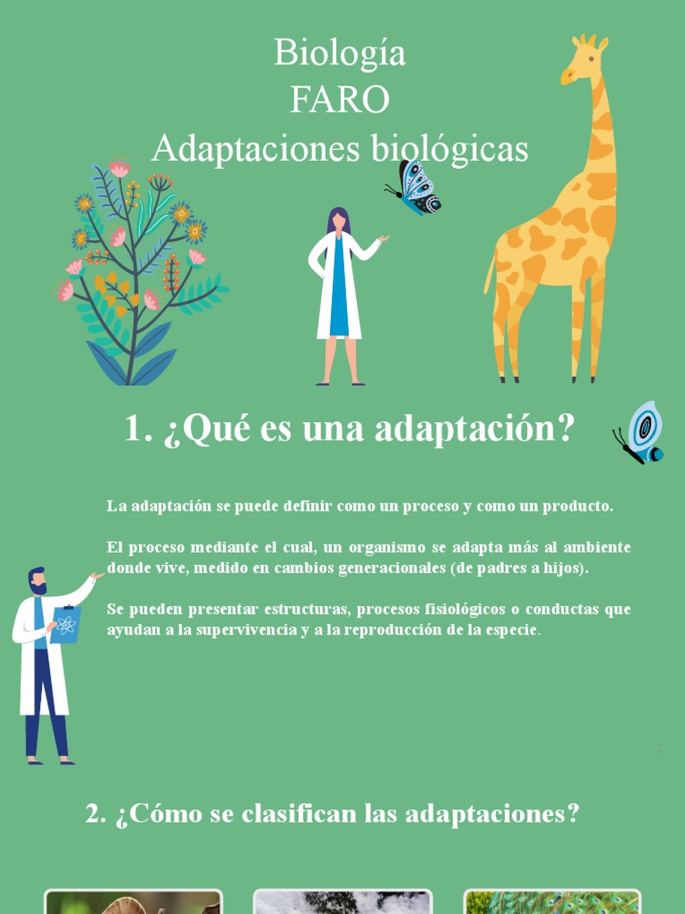 Tipos de Adaptaciones Biológicas | PDF | Adaptación | Aves