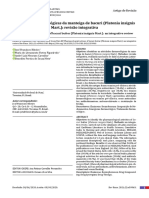 Atividades Farmacológicas Da Manteiga de Bacuri (Platonia Insignis Mart.) : Revisão Integrativa