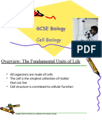 Cell Biology