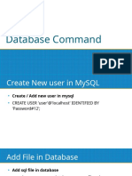 Database Command