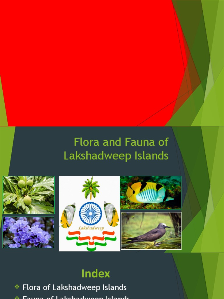 Flora and Fauna of Lakshadweep Islands | Download Free PDF | Coral Reef