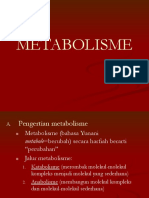 Metabolisme Fix