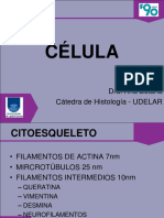 2 - Célula 2