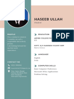 Haseeb CV