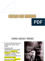 Ciclo de Krebs 1