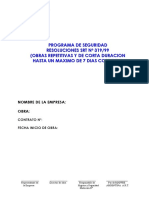 Res SRT 319-99 - Programa de Seguridad