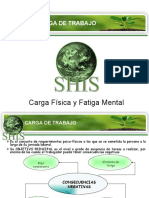 Carga Laboral Fisica y Mental