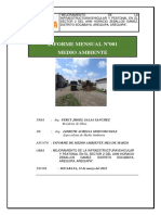 1.informe Ambiental 001 Marzoo - Proyecto Horacio