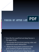 Fascia of Upper Limb