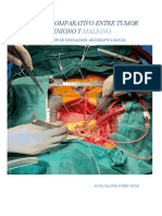 Cuadro Comparativo Entre Tumor Benigno y Maligno