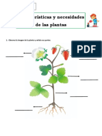 Guía Caracteristicas y Necesidades de Las Plantas 3° Basico
