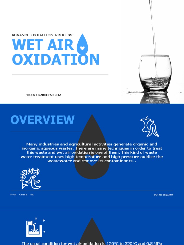 Wet Air Oxidation Pdf Chemical Engineering Industrial Processes