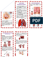 Triptico Sistema Respiratorio