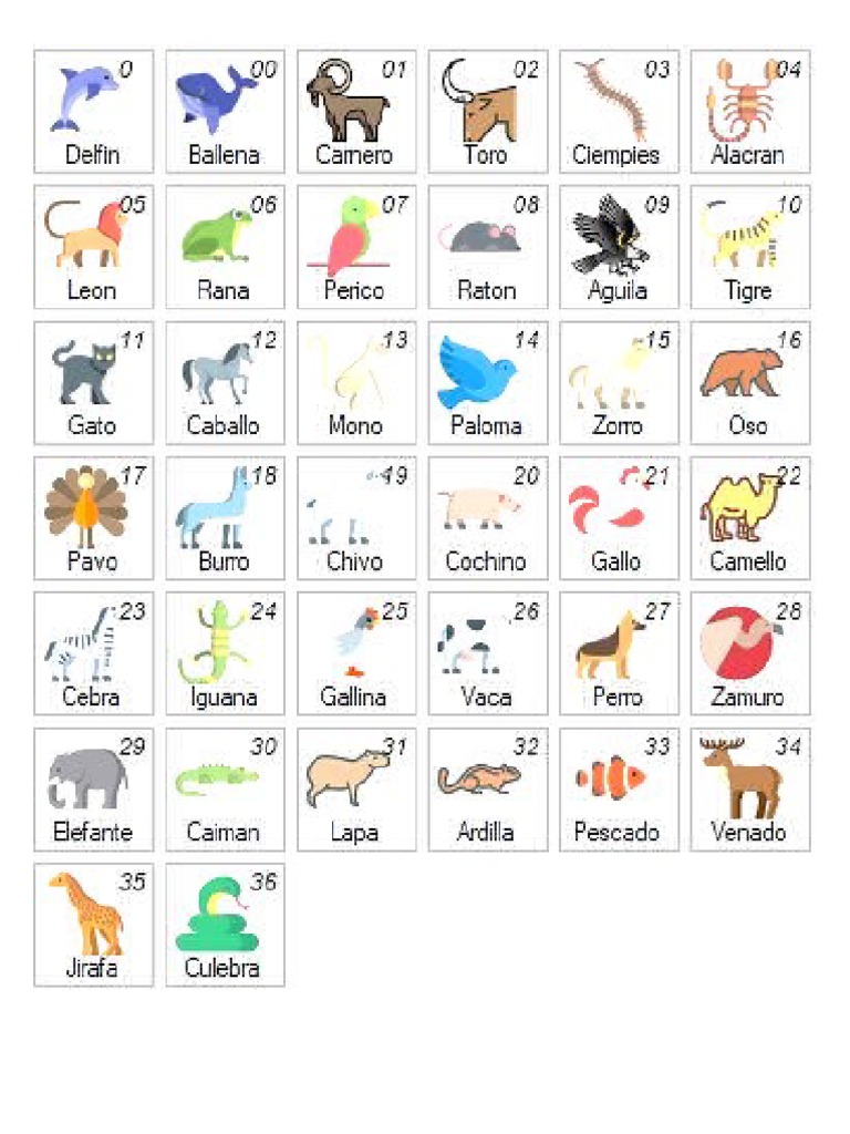 Datos De Animalitos De Venezuela