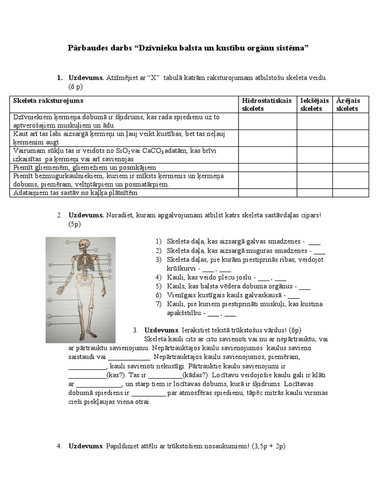 Balsts Un Kustības | PDF