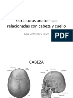 Estructuras Anatomicas Relacionadas Con Cabeza y Cuello