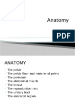 Anatomy