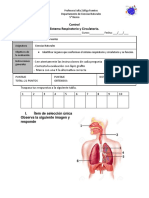 Control Sistema Respiratorio 5°