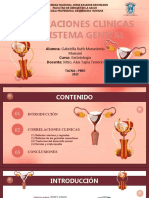 DIAPOSITIVAS SISTEMA GENITAL 2