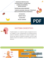 Sistema Digestivo Grupo 3