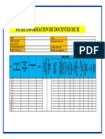 Ficha Informacion Docentes