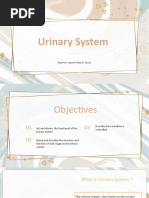 Urinary System-WPS Office