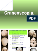 huesos craneales 5
