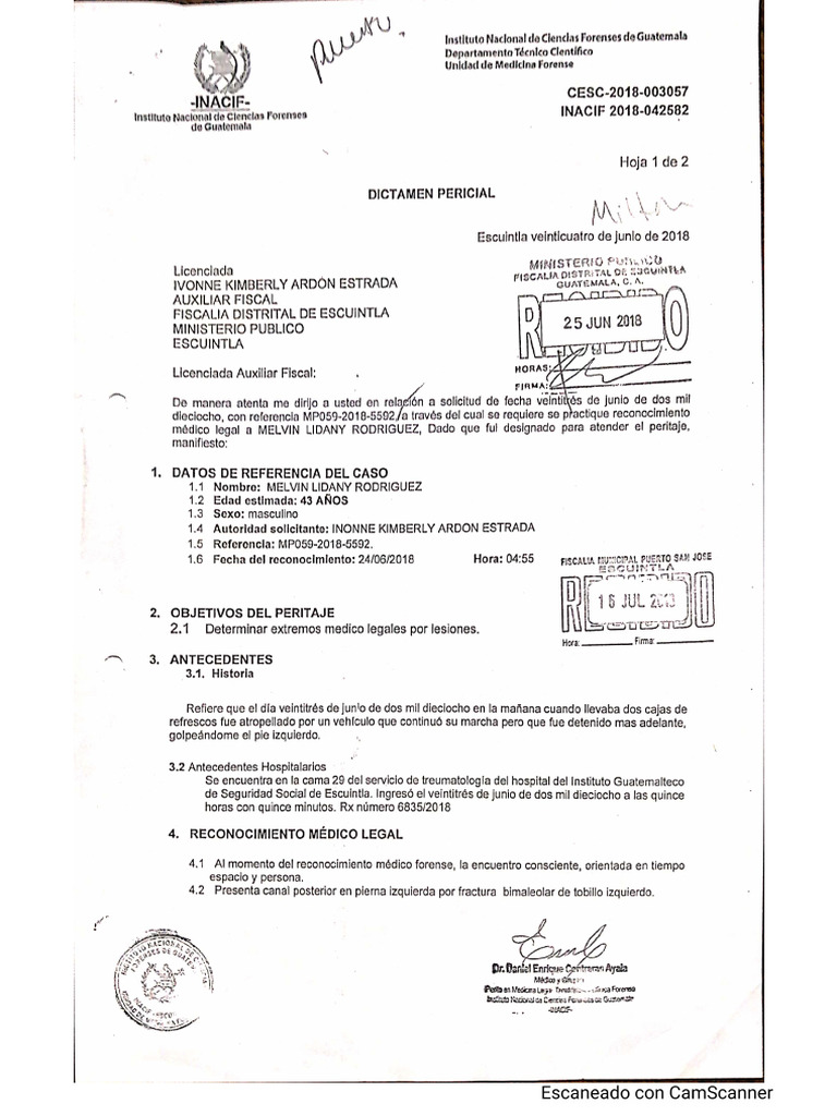 Dictamen Pericial INACIF | PDF