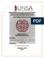 PRÁCTICA 5 - ESCATE CHARCA JULISA CRISTELSISTEMA NERVIOSO - GrupoMiercoles - AYFA II
