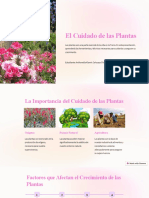 El Cuidado de Las Plantas