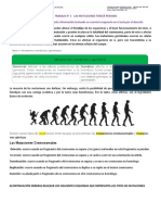 GUÍA DE TRABAJO N1 Tercer Periodo Mutaciones