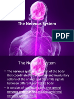 Lesson m1 - 1.1 01 Nervous System