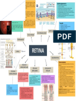 Mapa Retina