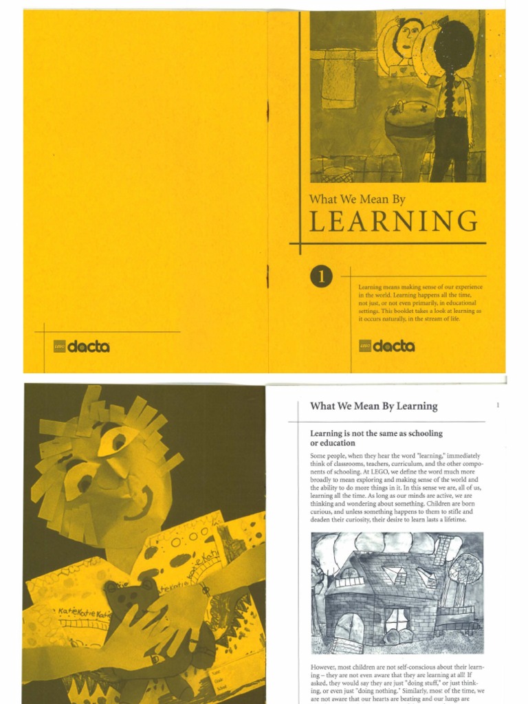 what-we-mean-by-learning-pdf-learning-curiosity