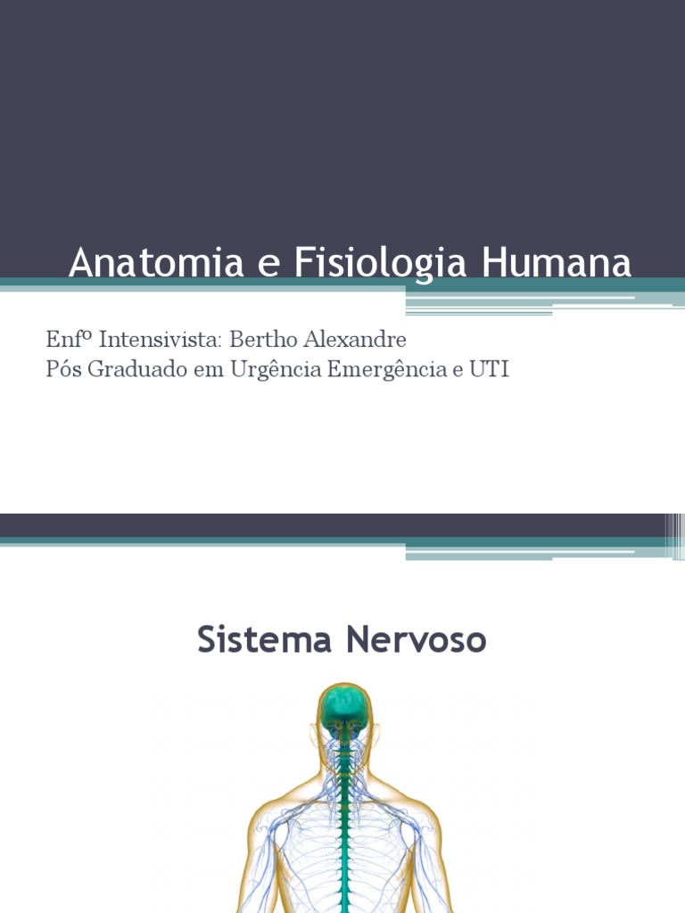 Painel Sistema Nervoso Central