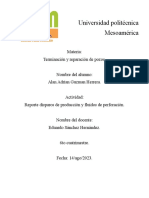 Disparos de Produccion y Fluidos de Terminacion