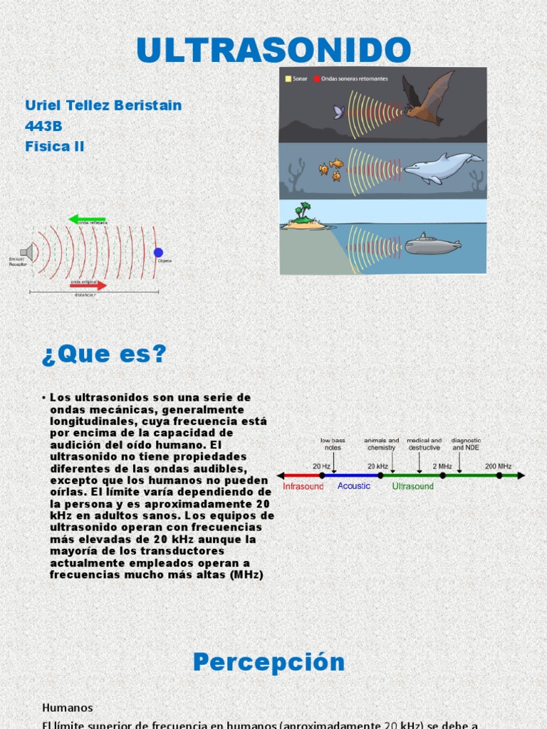 ULTRASONIDO | PDF | Ultrasonido | Sonido
