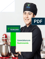 Licenciatura en Gastronomía - Plan de Estudio - Digital16x16