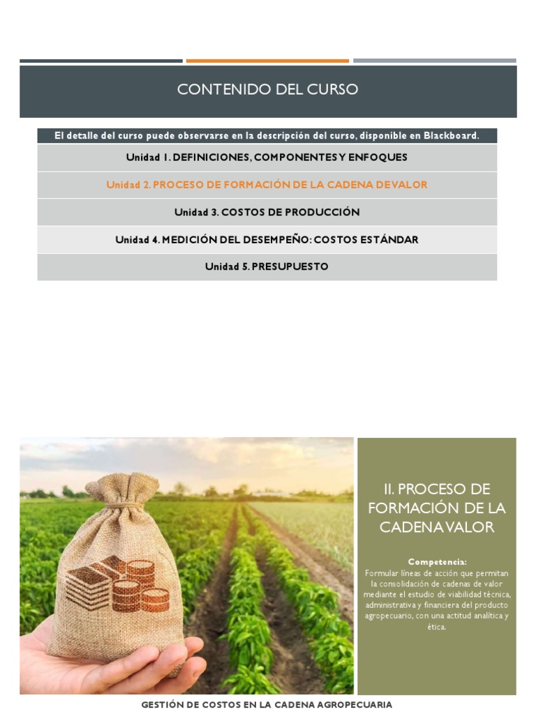 Gestión de Costos en Cadenas Agropecuarias | PDF | Cadena de valor ...