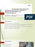 The Process of Microbiological Remediation of The