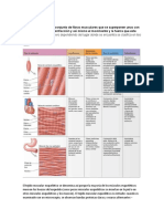 Anatomia Musculos